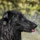 حقيبة استحمام محمولة ، طقم غسيل للسفر ، ملحقات تخييم ، تخييم خارجي للسفر ، مضخة ، بخاخ 12