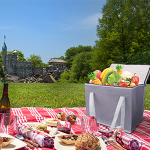 أكياس التسوق بقالة أكسفورد المعزولة والقابلة لإعادة الاستخدام ، مقاس XL ، حقيبة تبريد كبيرة للنزهات ، بسحاب علوي بارد 11