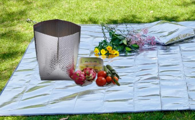 حقيبة معزولة مبردة من الألومنيوم ، حقيبة طعام حرارية ، حقيبة تبريد ساخنة ، نقل ، حفظ 10