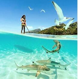 محفظة نسائية ، منظم حقائب التخزين بمقبض مقوى ، أحزمة مقبض الحقيبة للنساء والرجال 2