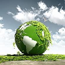 صدفية قابلة للتحلل تأخذ حاويات الطعام ، تفل طبيعي يمكن التخلص منه ، صديقة للبيئة ، ألياف قصب السكر 7