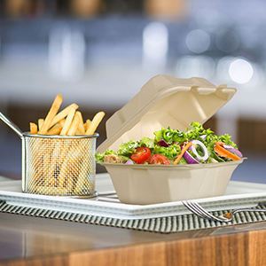 صدفية قابلة للتحلل تأخذ حاويات الطعام ، تفل طبيعي يمكن التخلص منه ، صديقة للبيئة ، ألياف قصب السكر 6