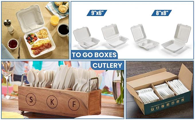 صدفية قابلة للتحلل تأخذ حاويات الطعام ، تفل طبيعي يمكن التخلص منه ، صديقة للبيئة ، ألياف قصب السكر 1