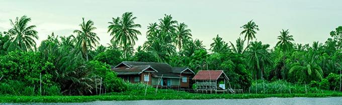 ماصات الشرب PLA ، ماصات CPLA العملاقة ، مغلفة بشكل فردي ، ماصات نباتية مرنة قابلة للتحلل ، كوكتيل 9