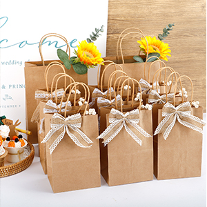 أكياس التسوق القابلة لإعادة التدوير ، وأكياس البيع بالتجزئة ، وأكياس الحفلات ، وأكياس البضائع ، وأكياس الهدايا ، وأكياس بيع البضائع بالتجزئة 1