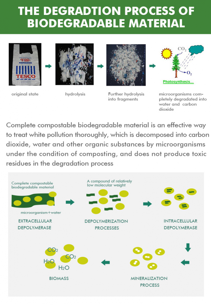 كيس بسحاب صديق للبيئة، كيس منزلق، كيس قفل منزلق، كيس ملابس، كيس بسحاب، كيس إغلاق بسحاب، كيس نشا الذرة، كيس PLA، أكياس ملابس، قابلة للتحلل، قابلة للتحلل الحيوي، أكياس منزلقة قابلة لإعادة الاستخدام 1