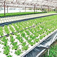 فيلم أرضي مثقوب ، فيلم حاجز بخار ، فيلم دفيئة ، فيلم باندا زراعي ، فيلم عاكس مايلر 13