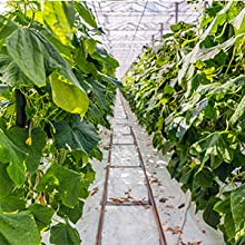 فيلم أرضي مثقوب ، فيلم حاجز بخار ، فيلم دفيئة ، فيلم باندا زراعي ، فيلم عاكس مايلر 12