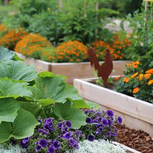 حصيرة مكافحة الحشائش ، غطاء الأرض ، فراش الزهرة ، نشارة ، أرضيات ، حواف ، حصص الحديقة ، حاجز الأعشاب ، المناظر الطبيعية 14