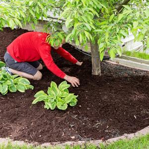 حصيرة مكافحة الحشائش ، غطاء الأرض ، فراش الزهرة ، نشارة ، أرضيات ، حواف ، حصص الحديقة ، حاجز الأعشاب ، المناظر الطبيعية 18