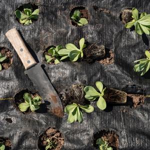 حصيرة مكافحة الحشائش ، غطاء الأرض ، فراش الزهرة ، نشارة ، أرضيات ، حواف ، حصص الحديقة ، حاجز الأعشاب ، المناظر الطبيعية 19